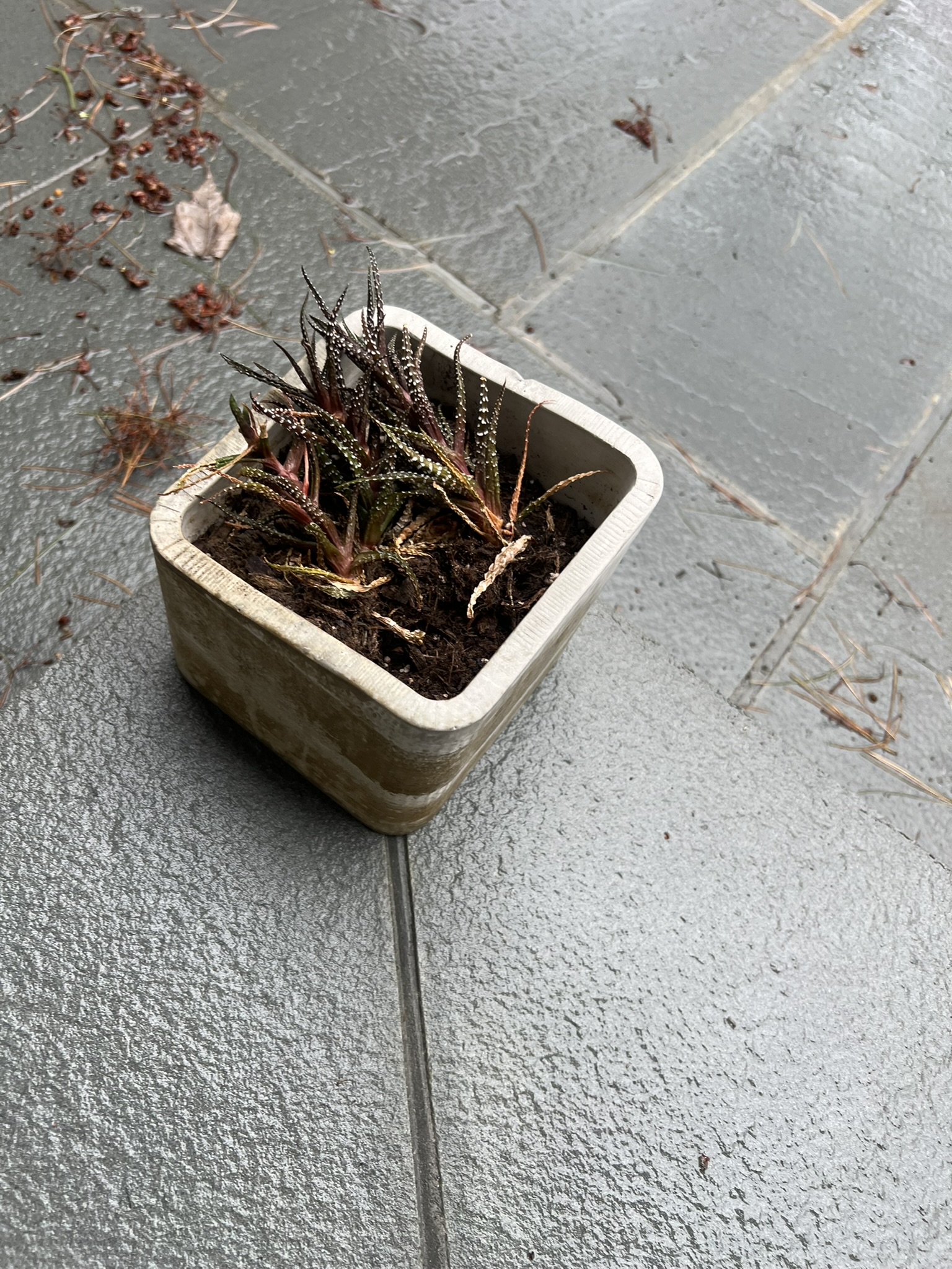 Concrete Plant Pot Mold