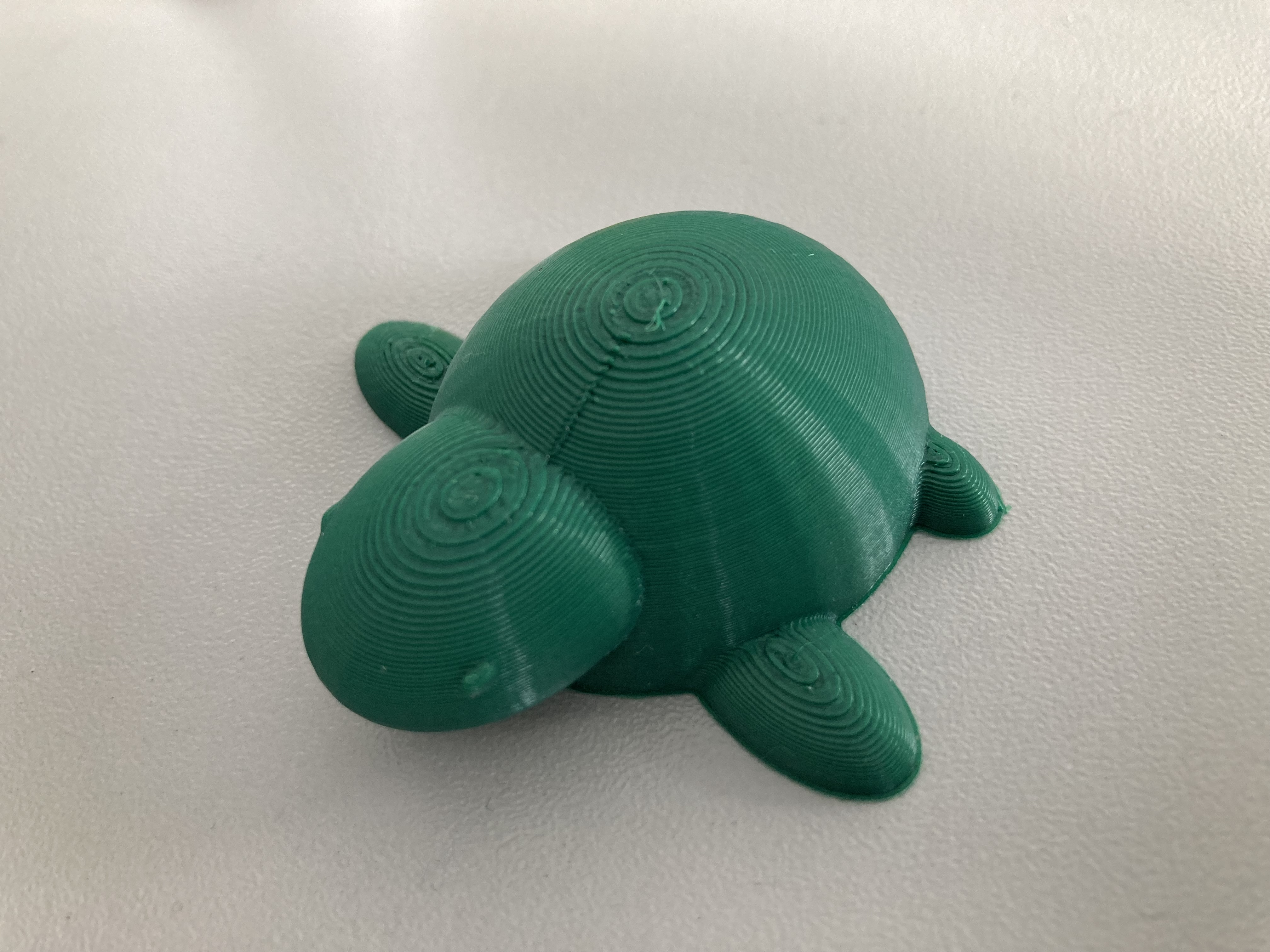 Želva + verze přívěšek 3D model by ZŠ Židlochovice