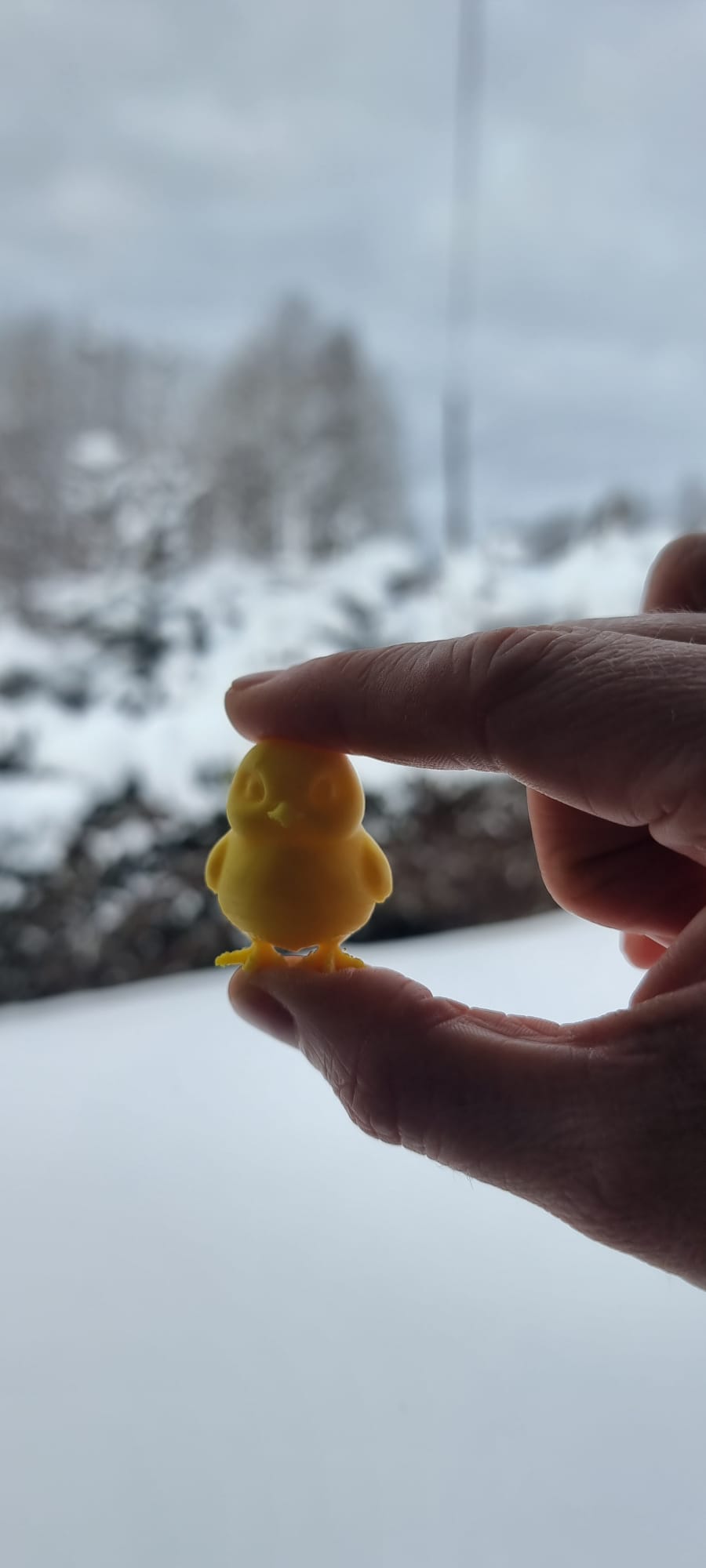 Mini chick — miniatura 4