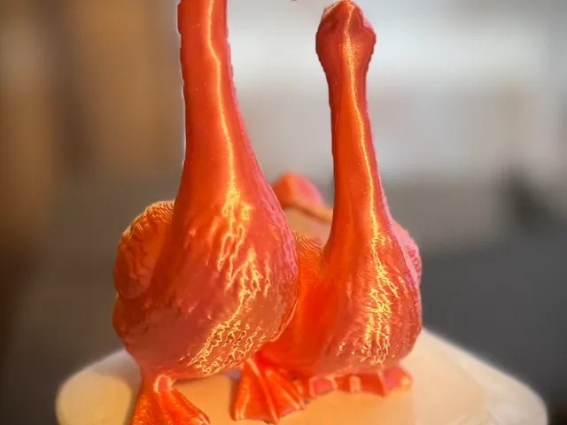 2 Geese