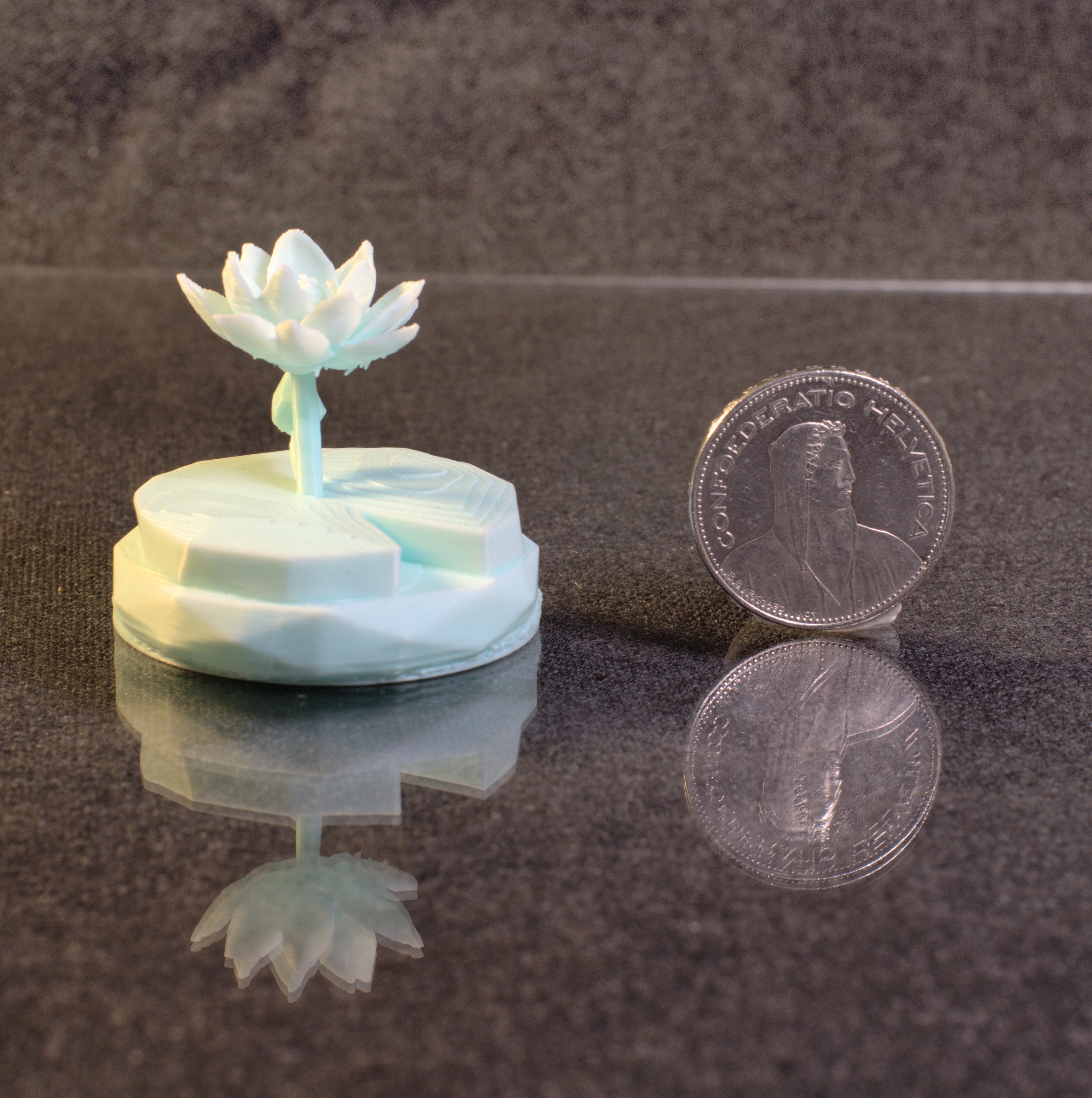 Miniatura 2 do modelo 3D Lily Pad