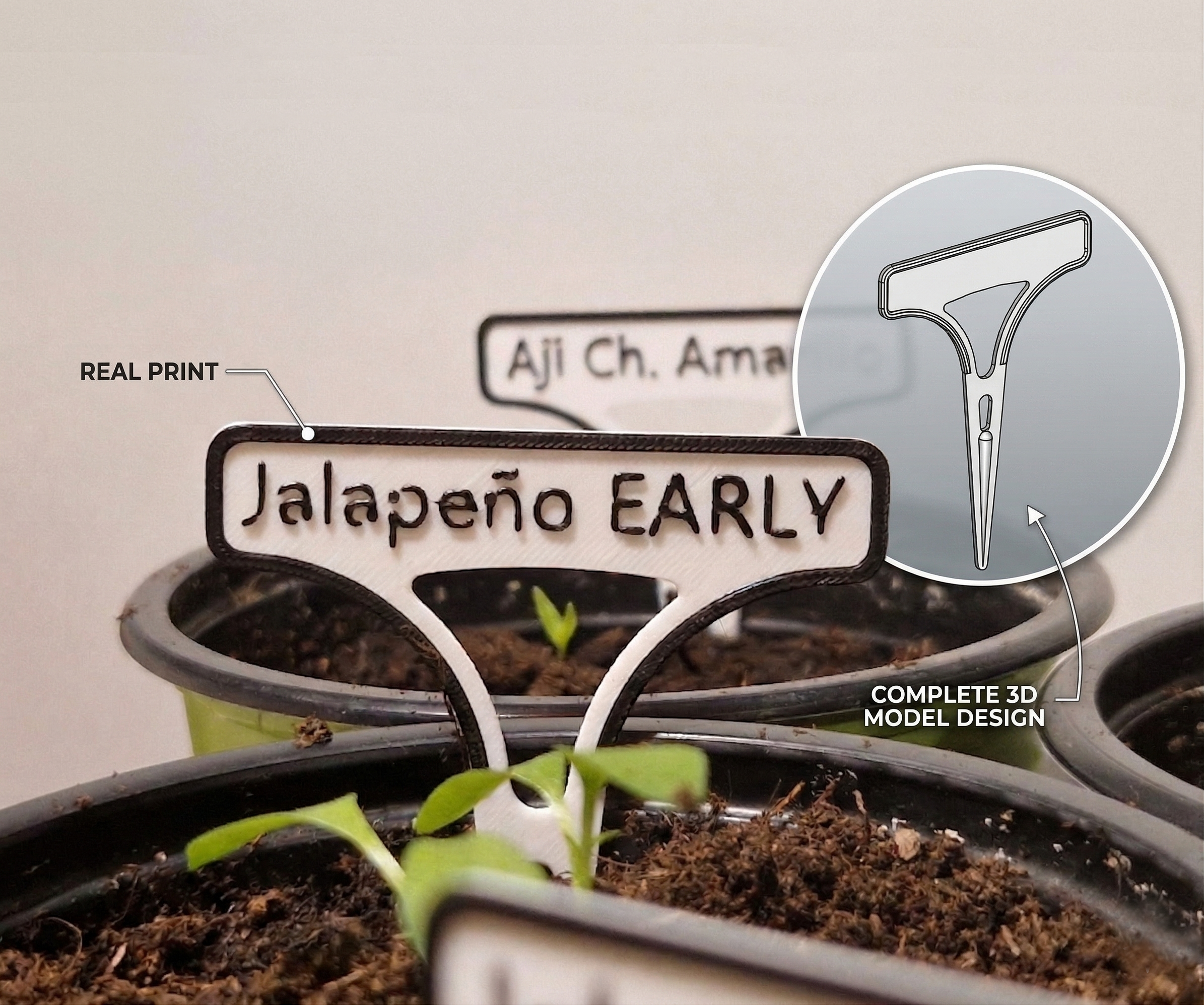 Customizable Plant and Seedling Labels