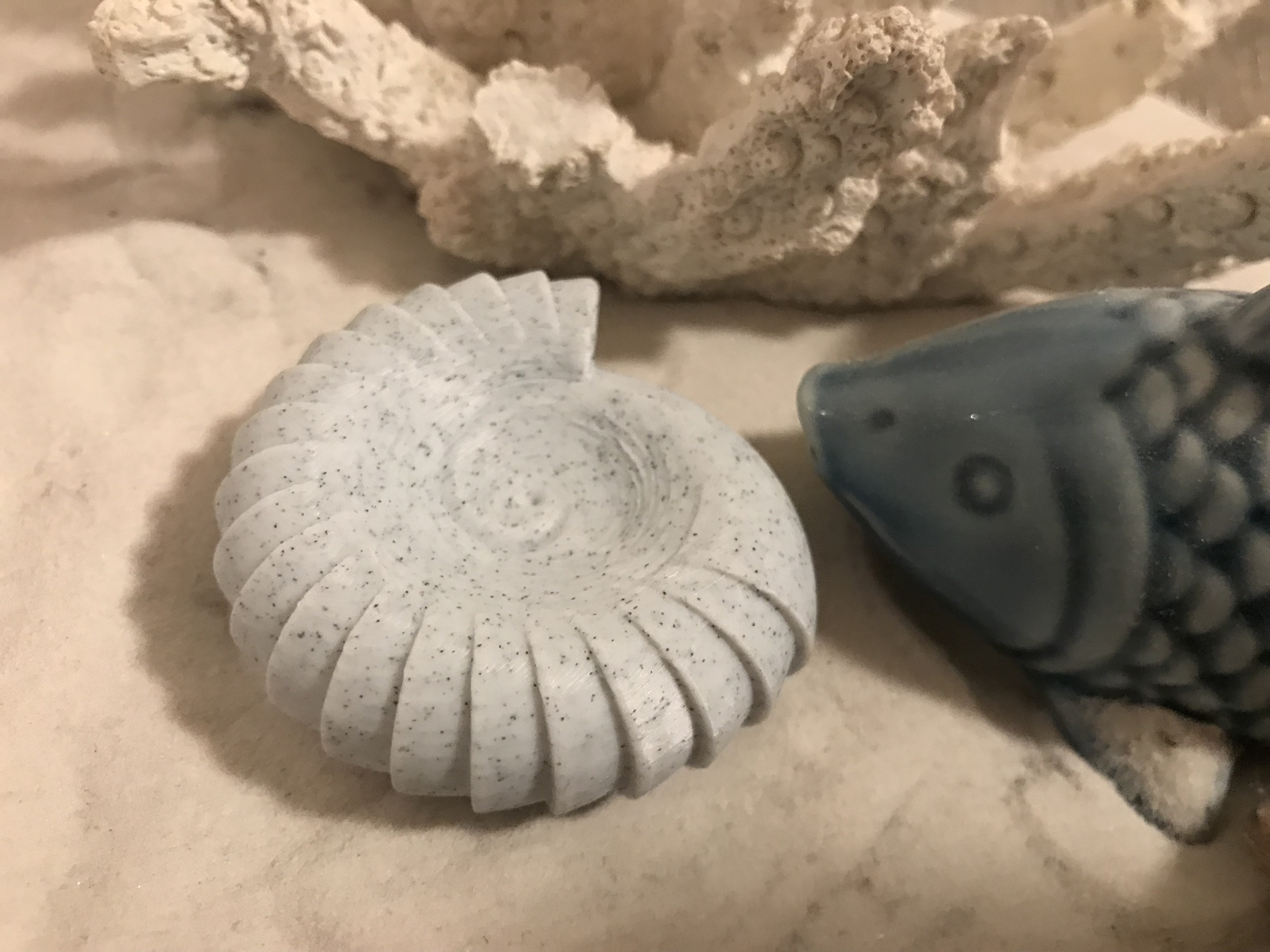 Ammonite Fossil (Golden Ratio)