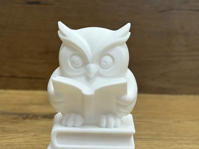 Wise Owl Reading Buddy 2/3