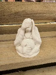 Shy Ape