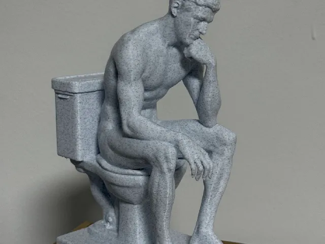 pensatore sul wc