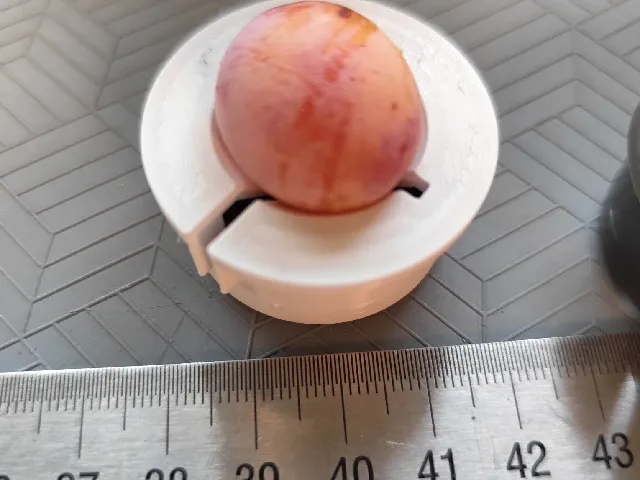 Adaptator for "mirabelle" plum in Westmark plum-stoner