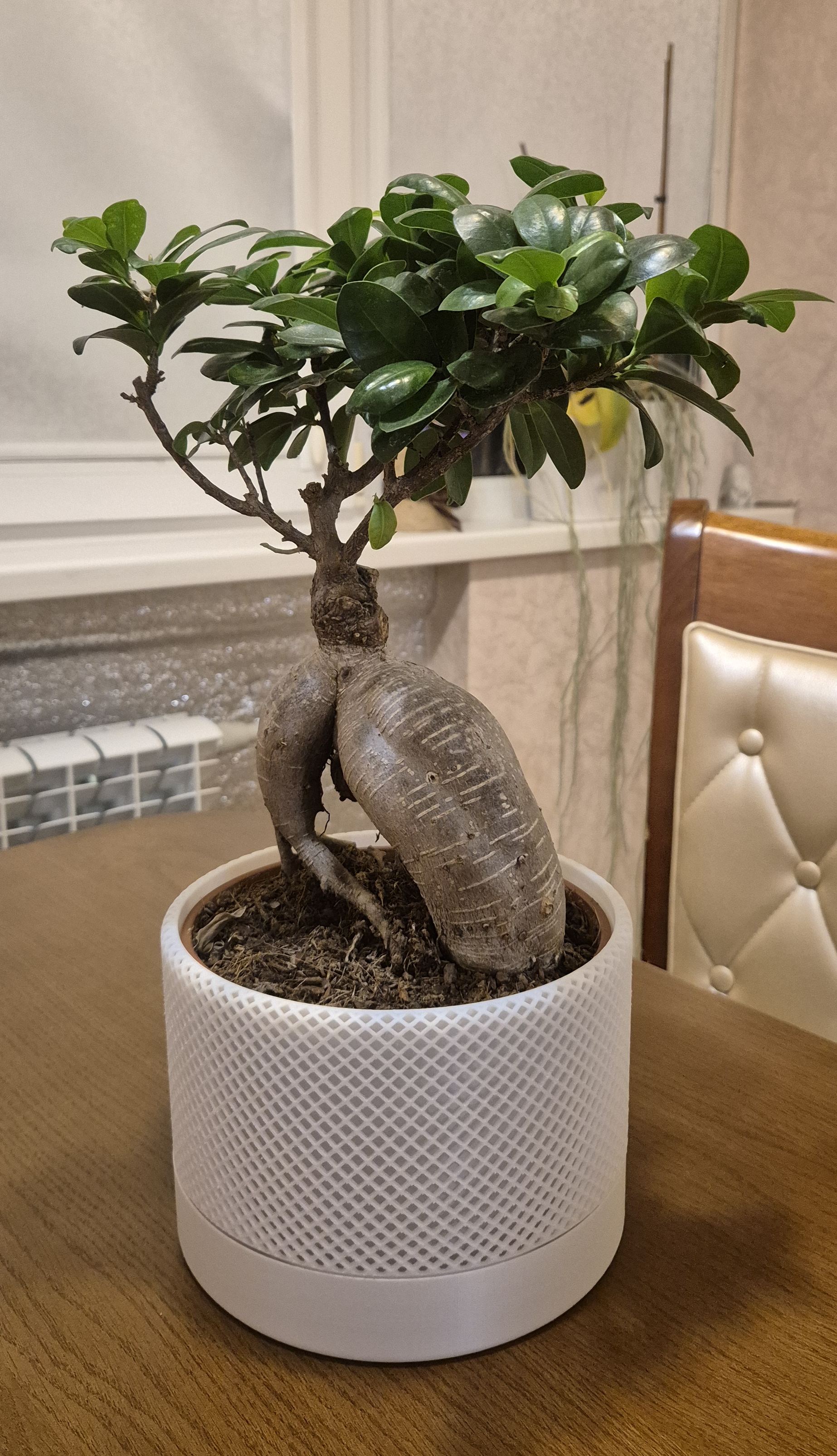 Mesh flower pot case / planter