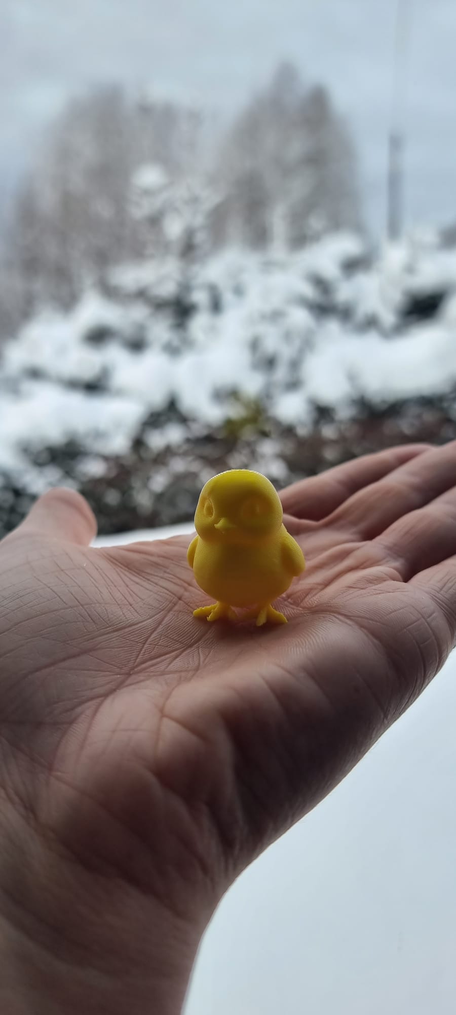 Mini chick — miniatura 7