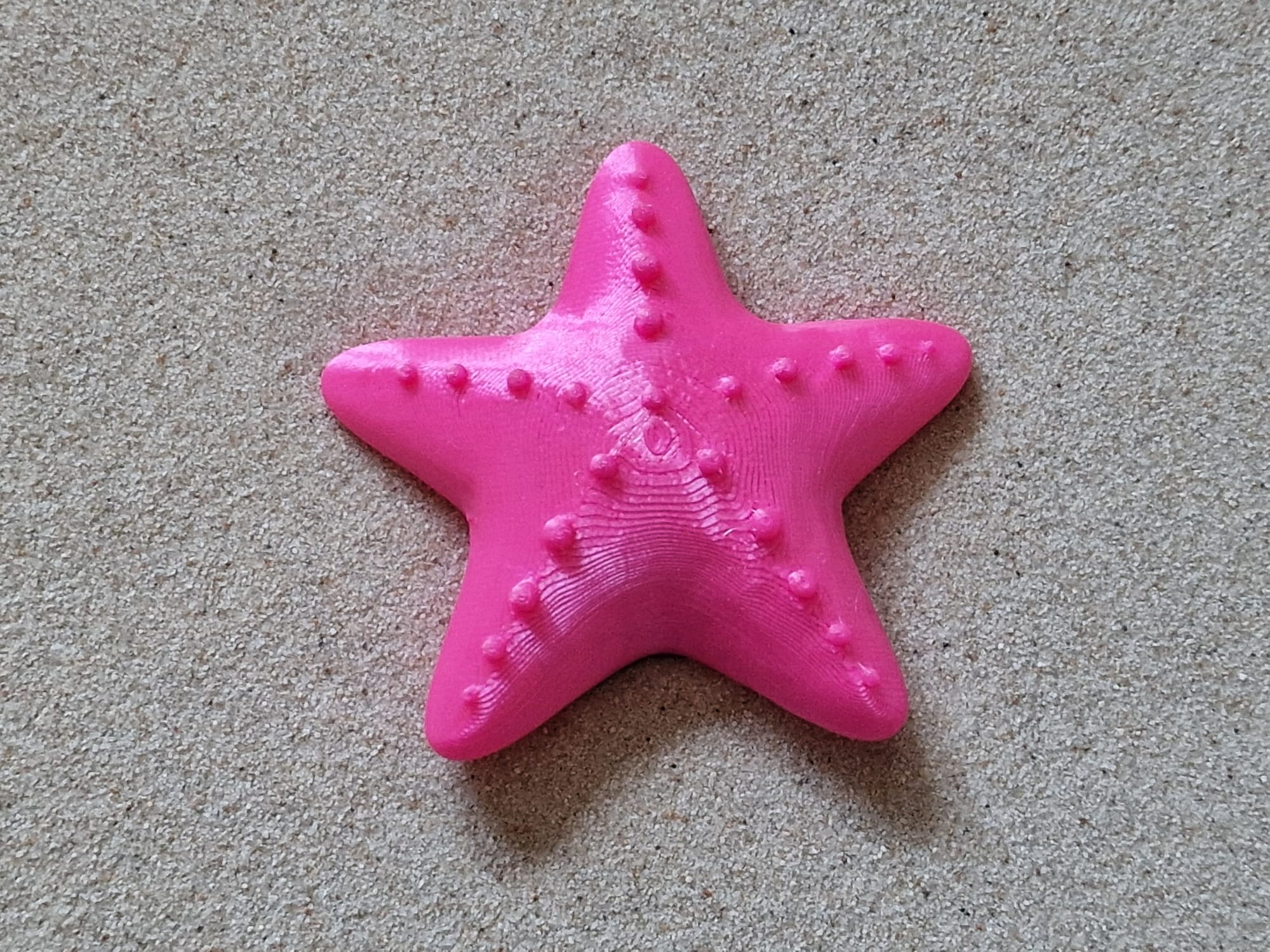 Starfish Magnet