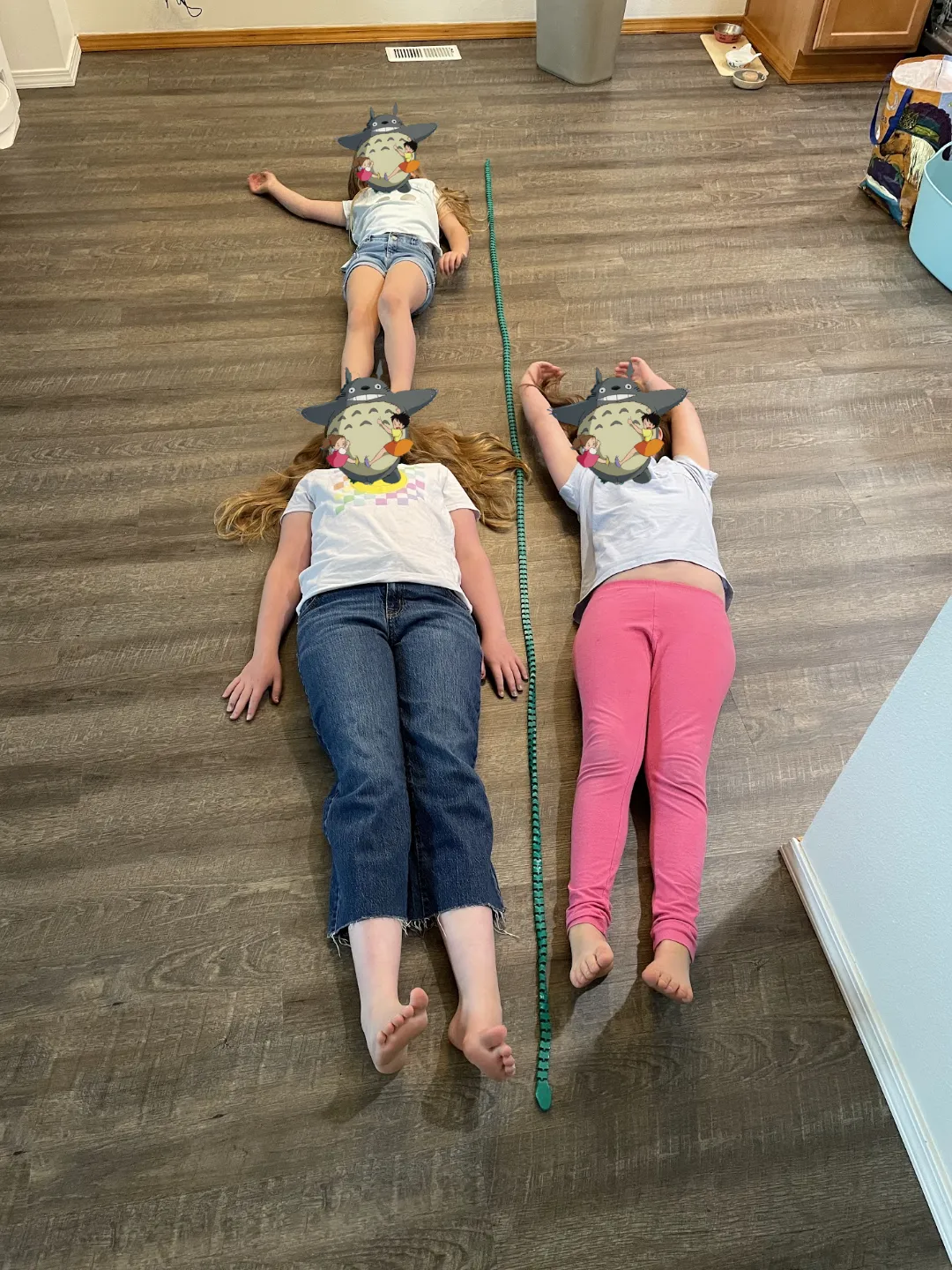 3m / 10 foot longboi snek