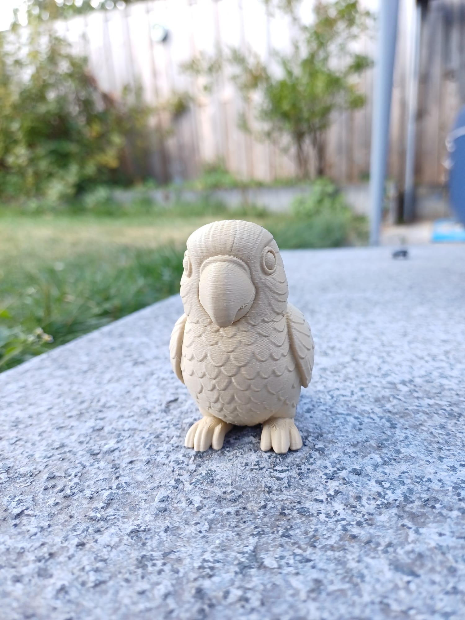 Tropical Buddy — miniatura 2