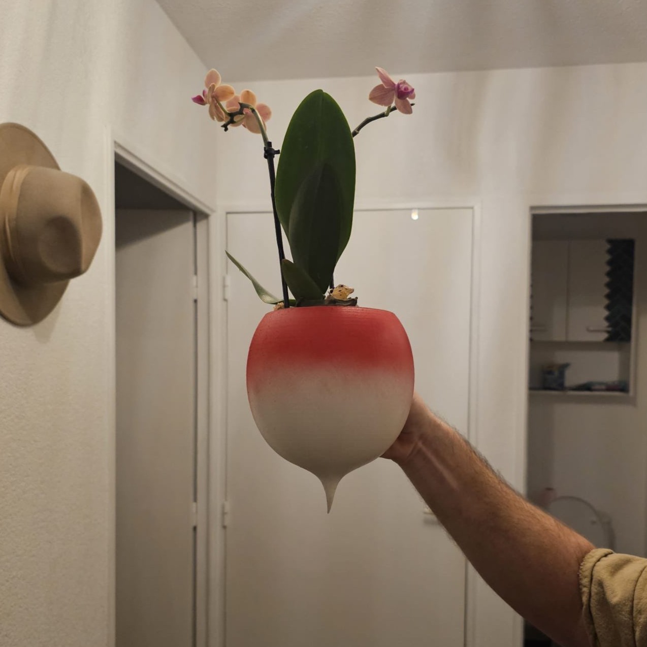 Radish pot wall hanger