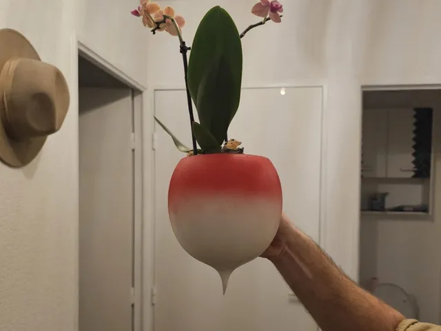Radish pot wall hanger