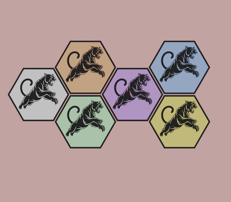 Hexagonal panther