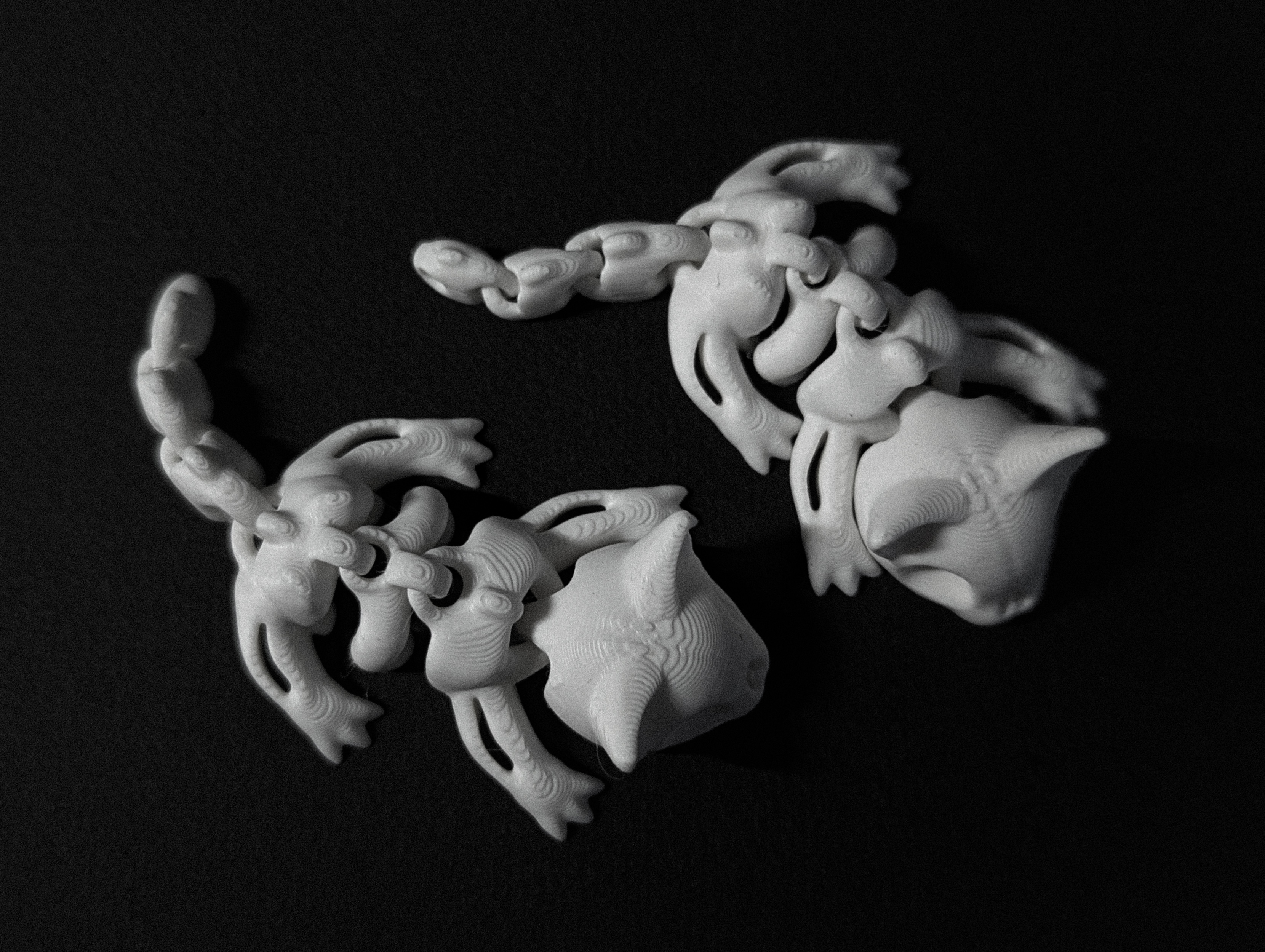 Miniatura 3 do modelo 3D Flexi Skeleton Cat