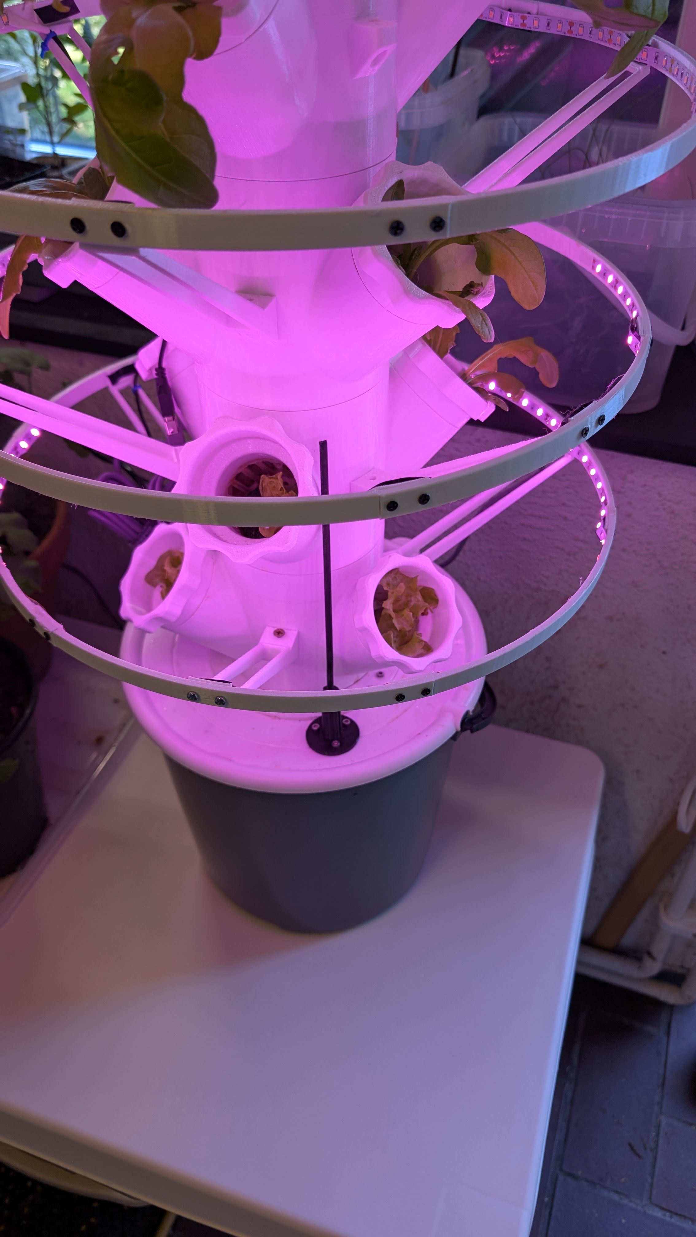 Hydroponic water level