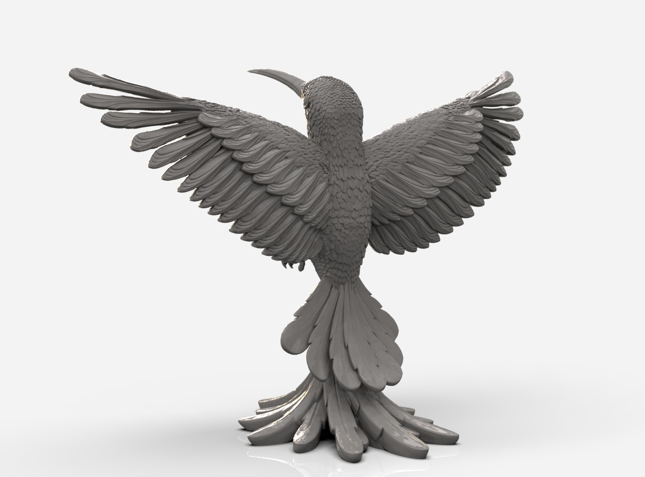 hummingbird — miniatura 4
