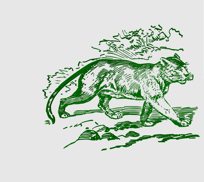 wall art puma