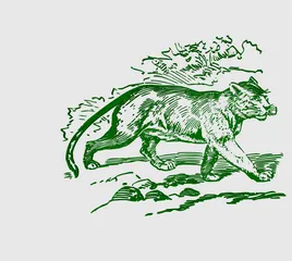 wall art puma