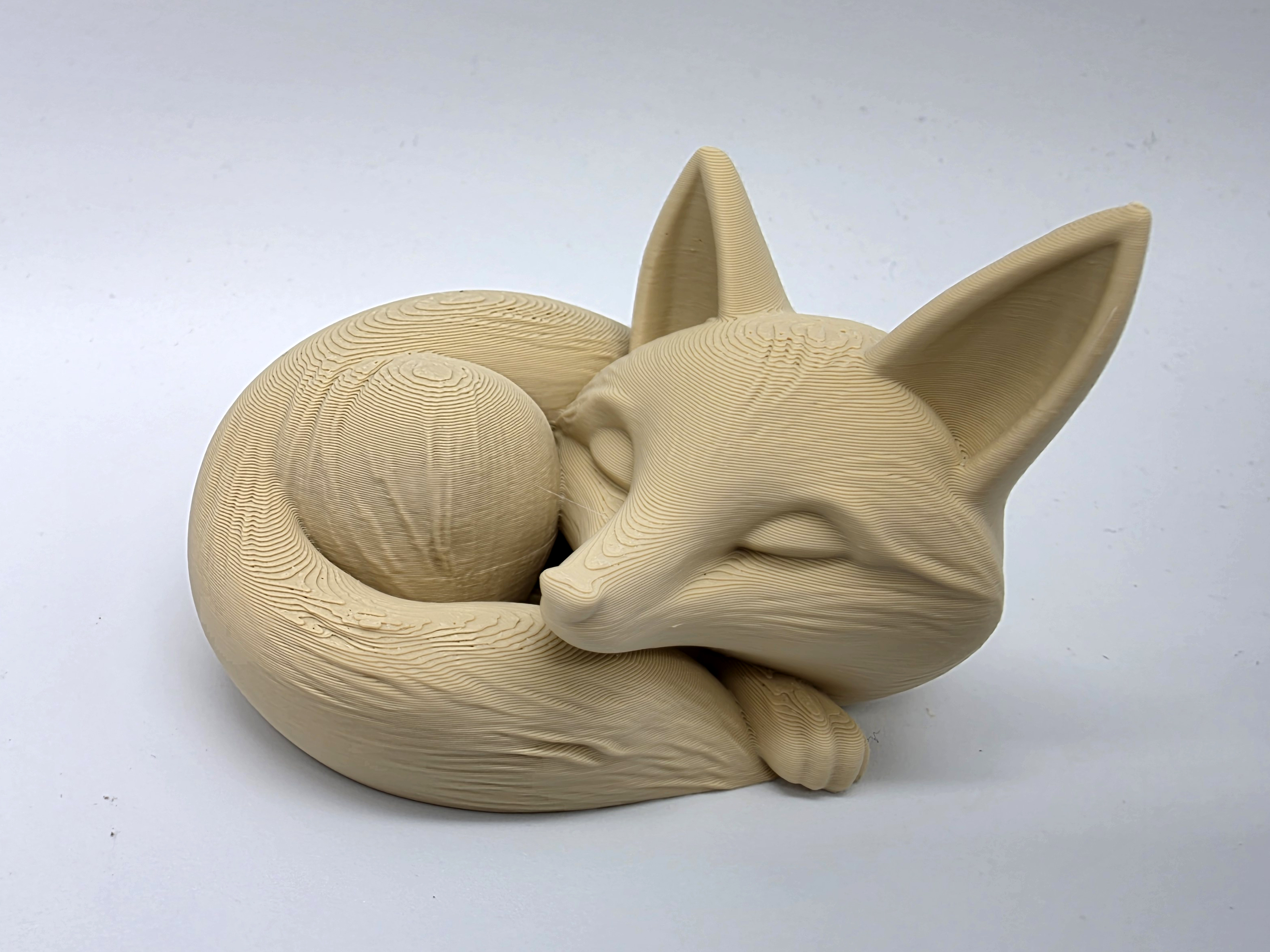 Sleeping Fox 1