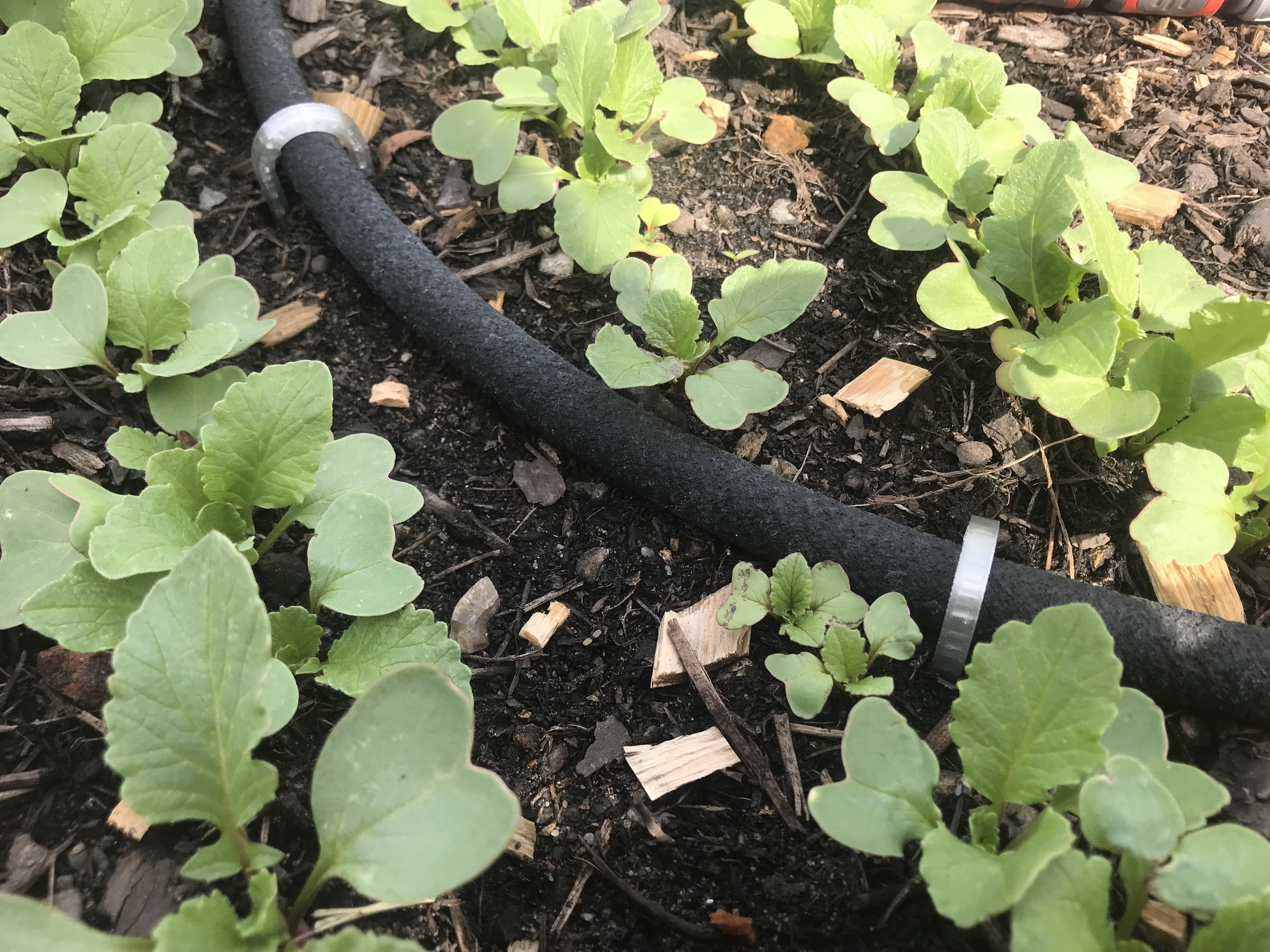 Gardenhosefixation