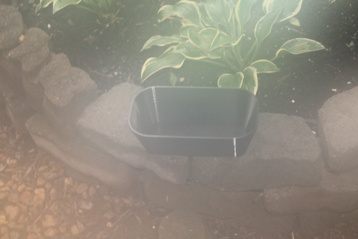 Oval Flower Planter Container