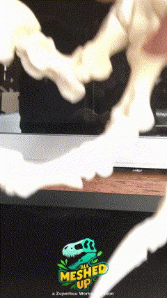Fossil Replica Deinonychus Foot with Articulation and Stand