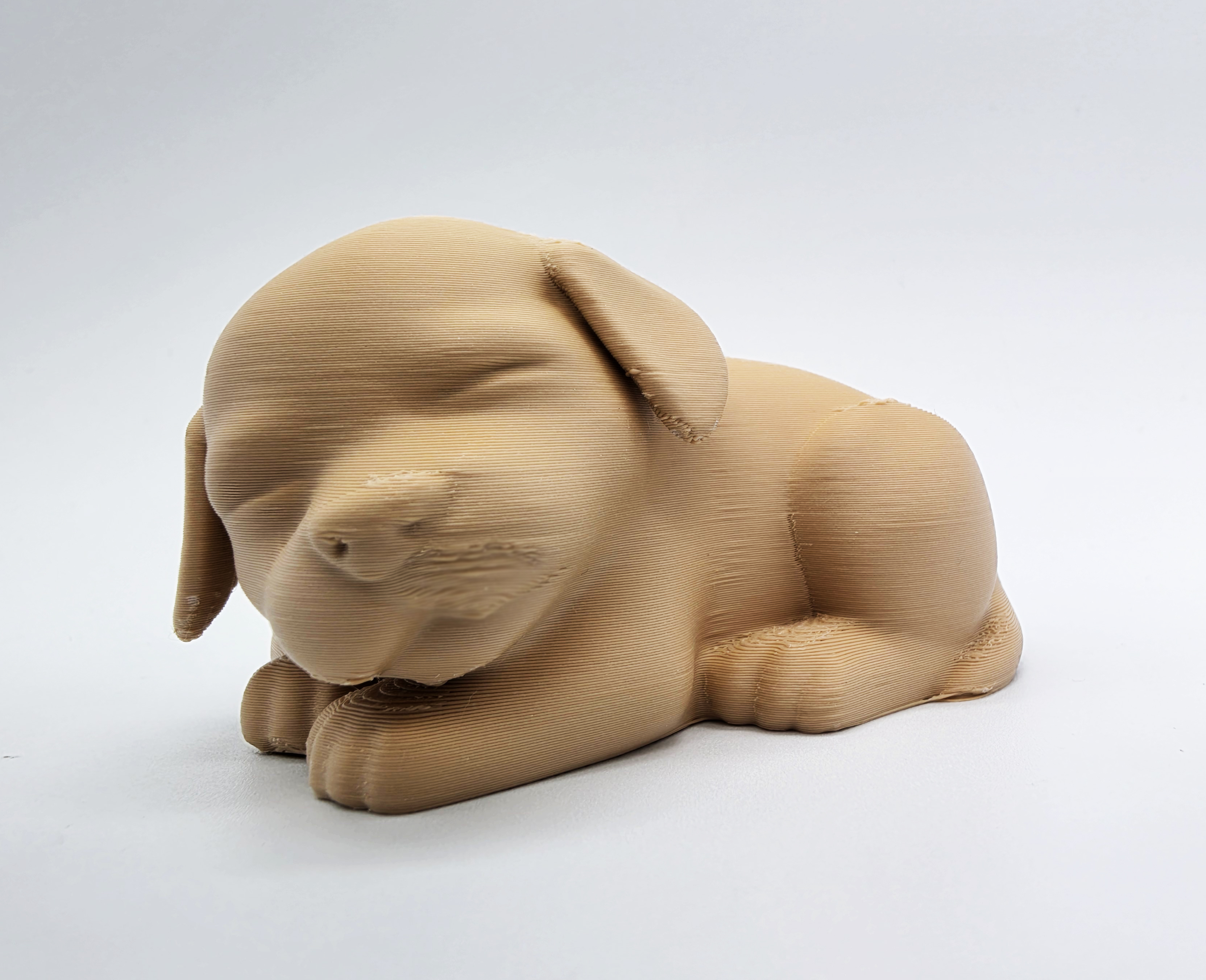 Sleeping Puppy 2 — miniatura 6