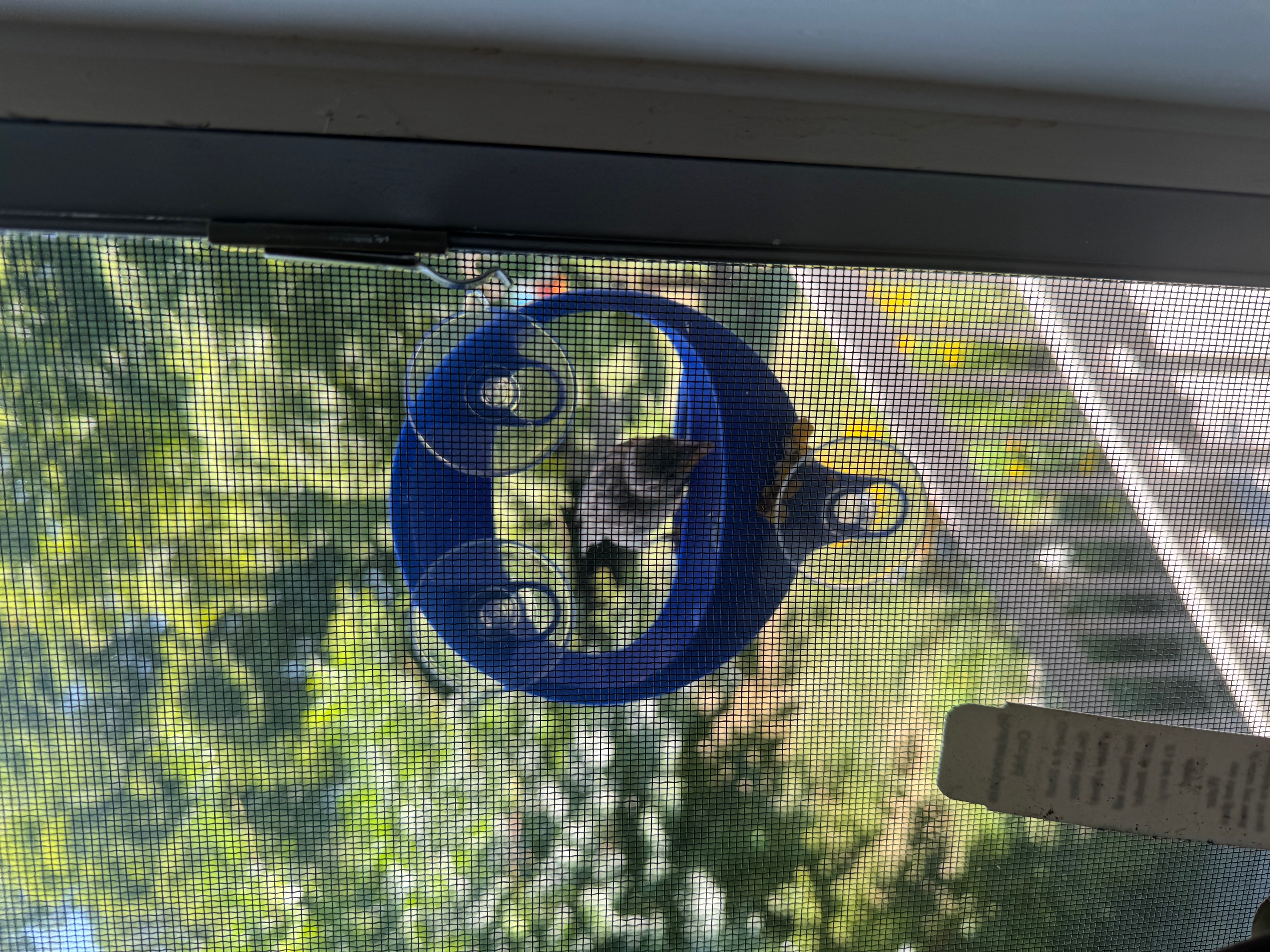 Miniatura 9 do modelo 3D Window Bird Feeder Remix