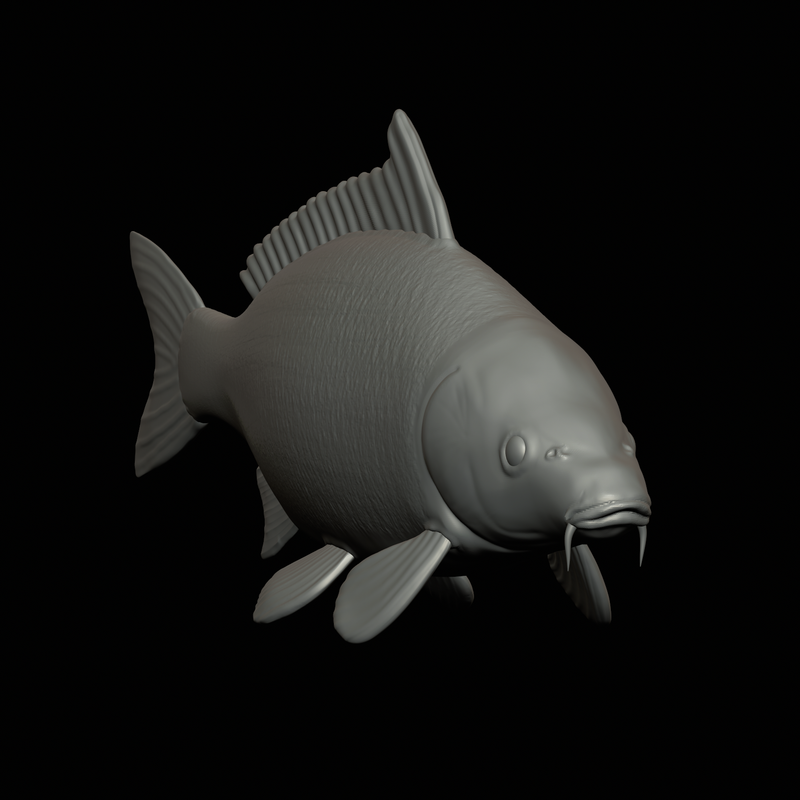 Common Carp – Fish Model by Artman | Download free STL model ...