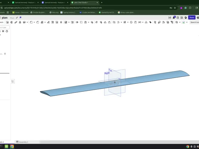 plane wings