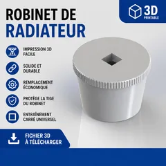 Radiator valve
