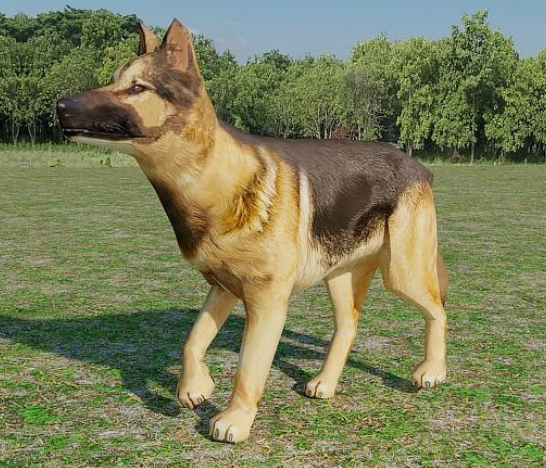 Dog Model