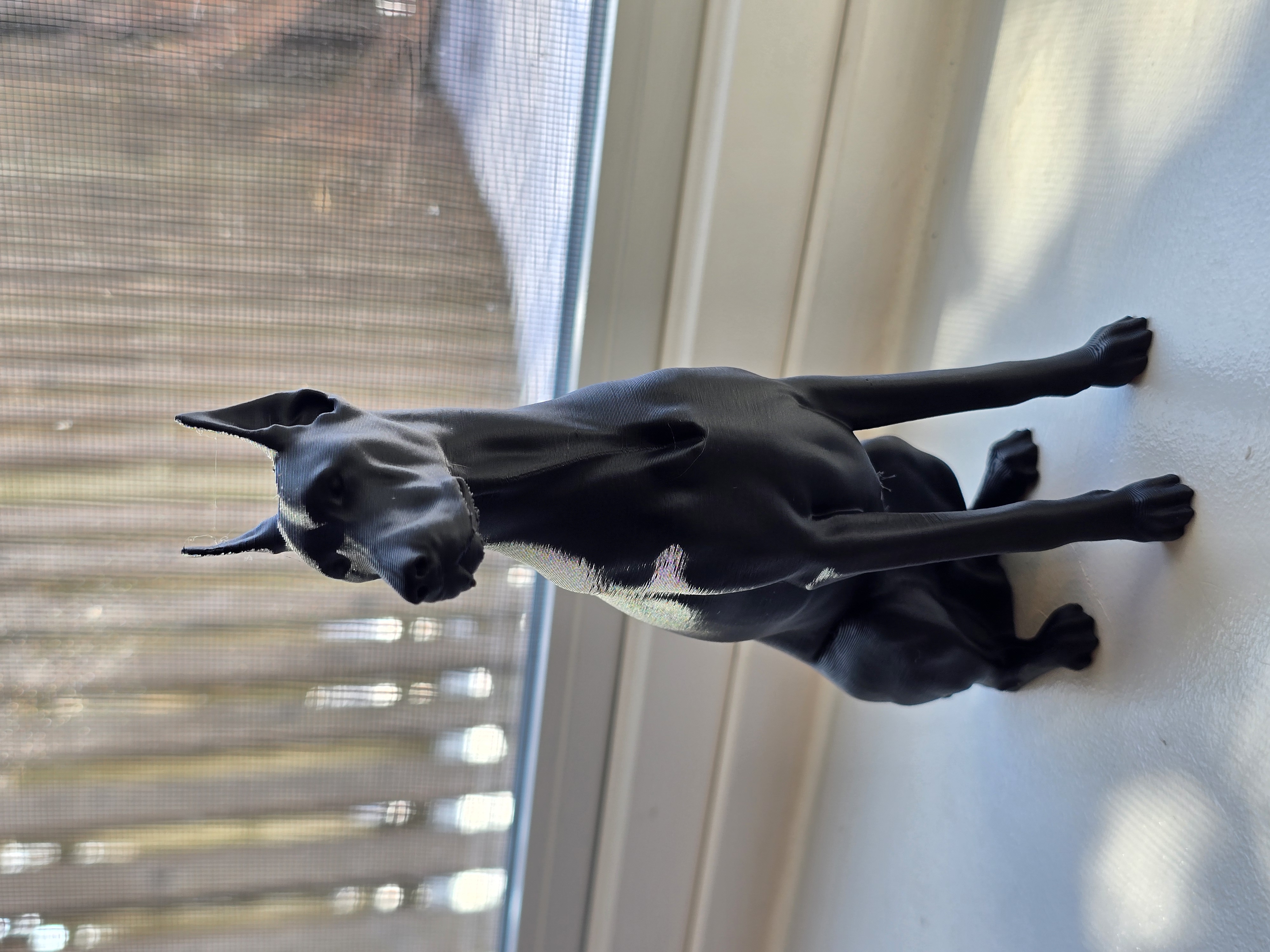 Miniatura 4 do modelo 3D Doberman Pinscher