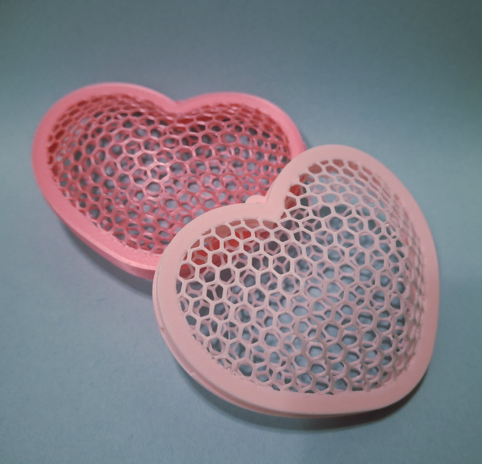 3D Thermoformed Heart