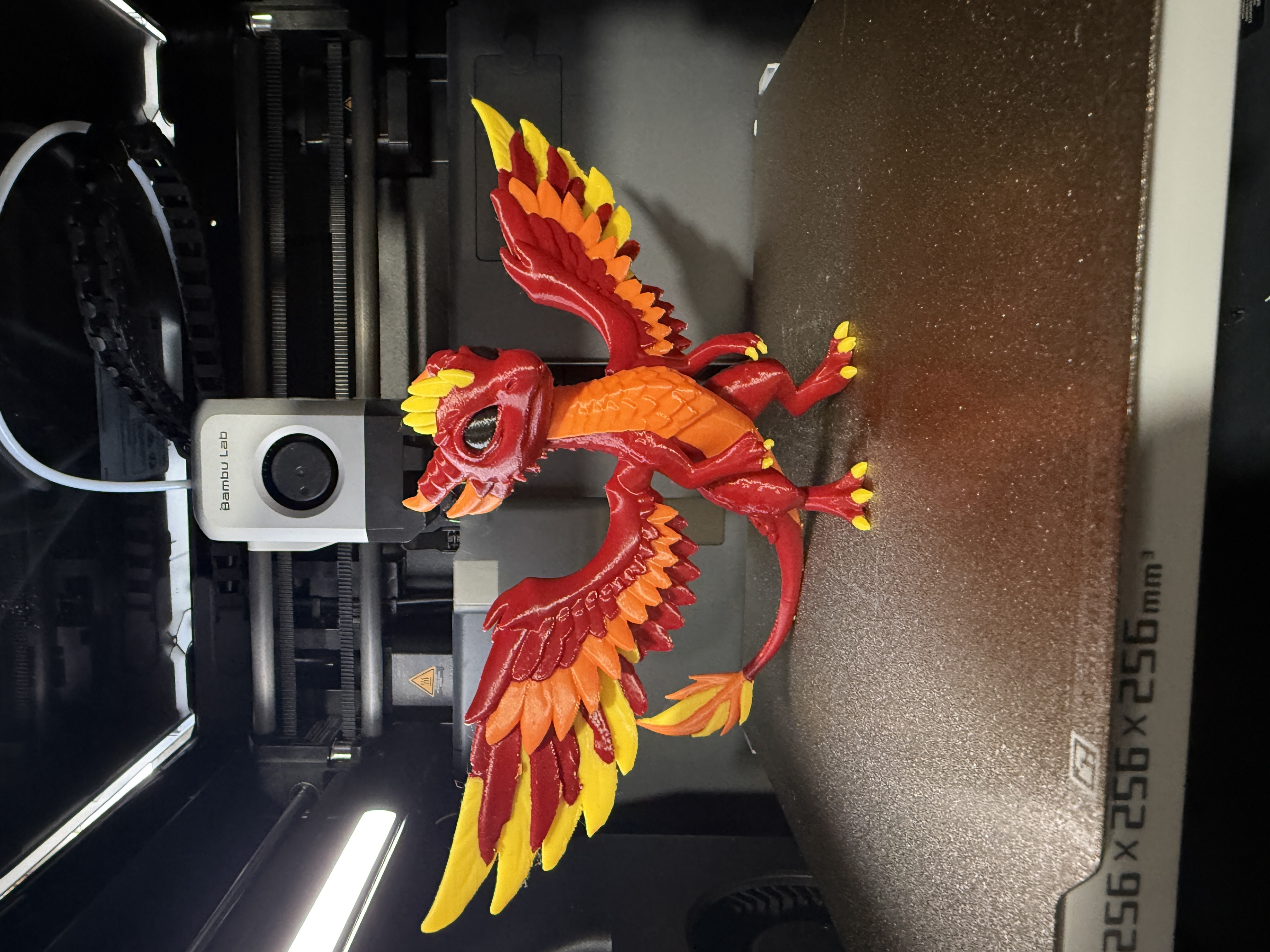 Baby Phoenix Dragon