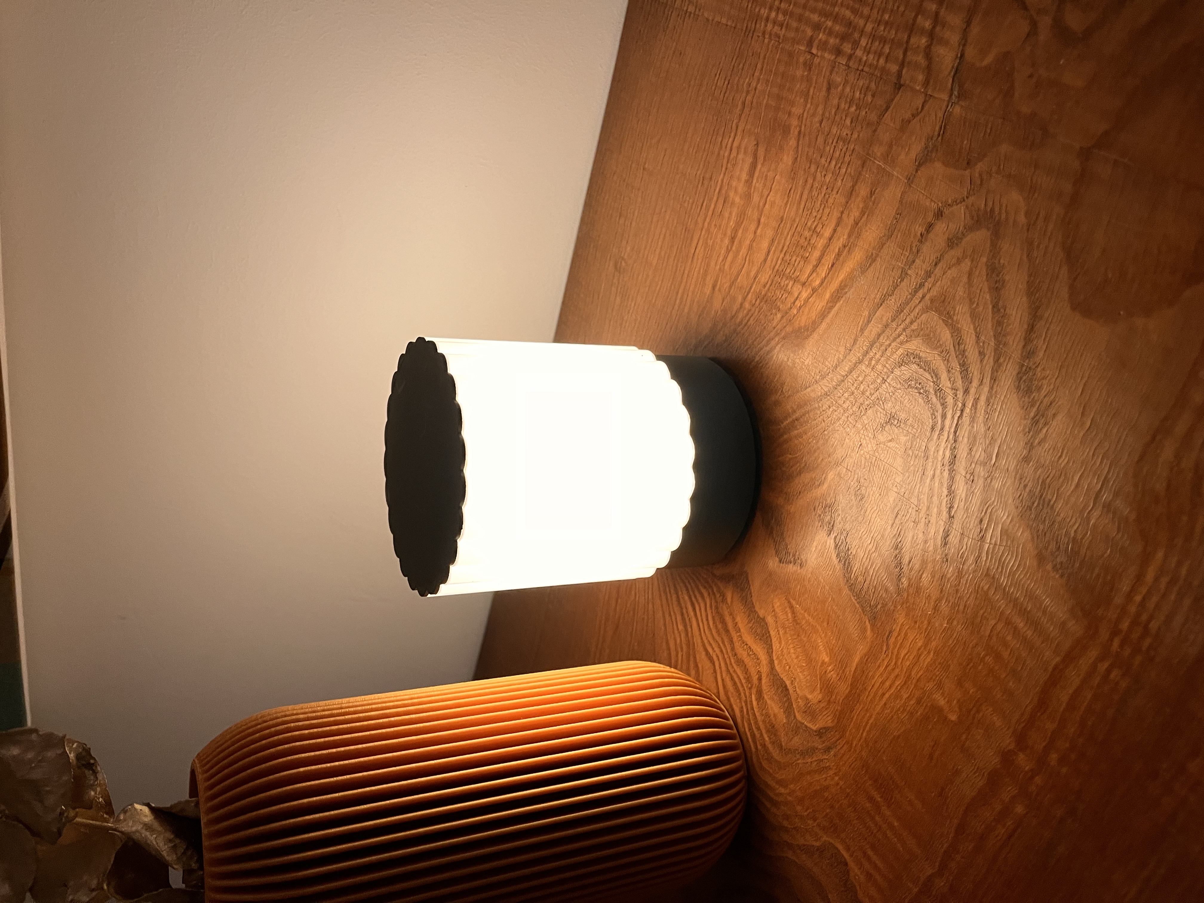 Battery powered Designer Lamp-001