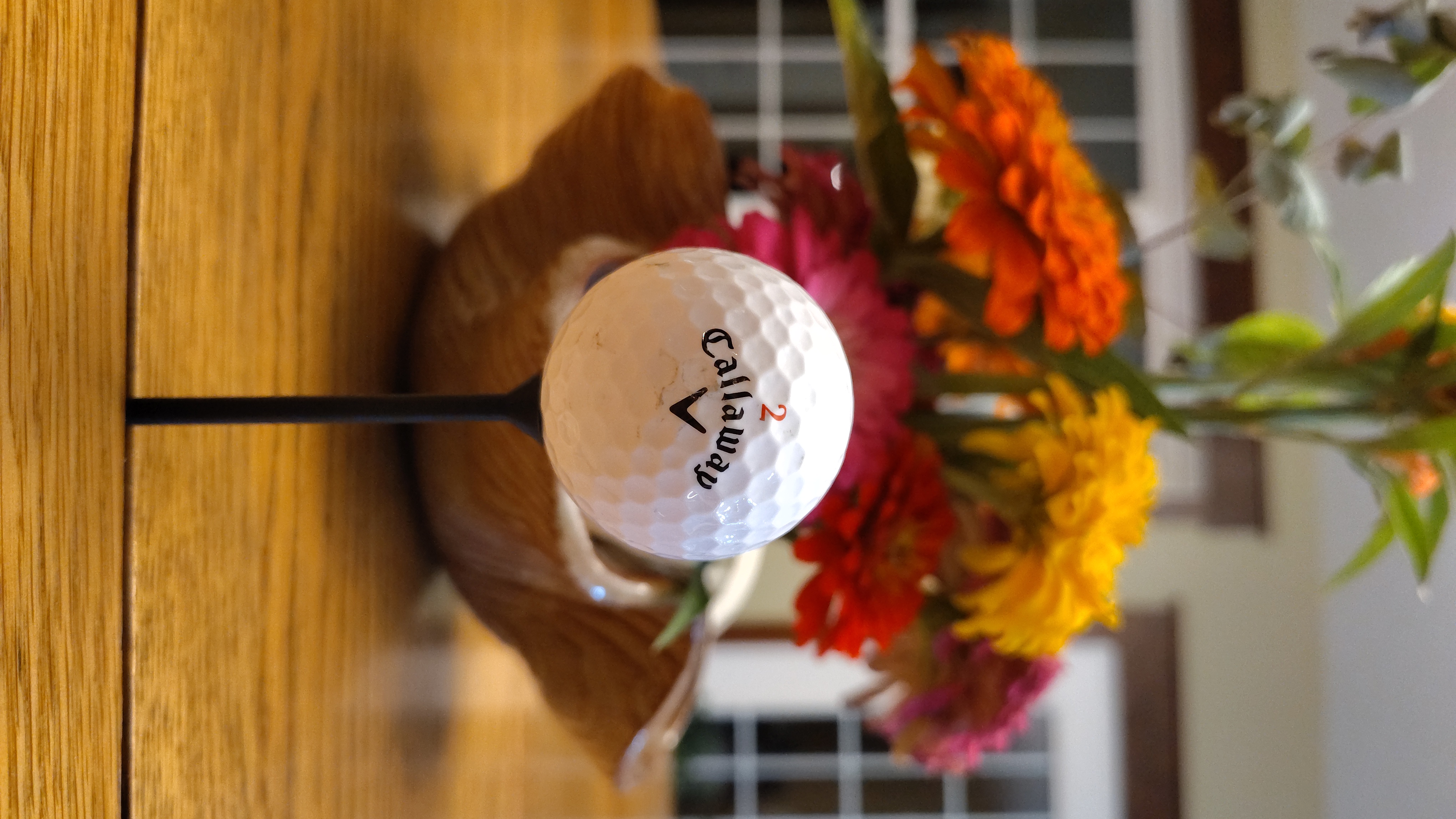 Golf tee