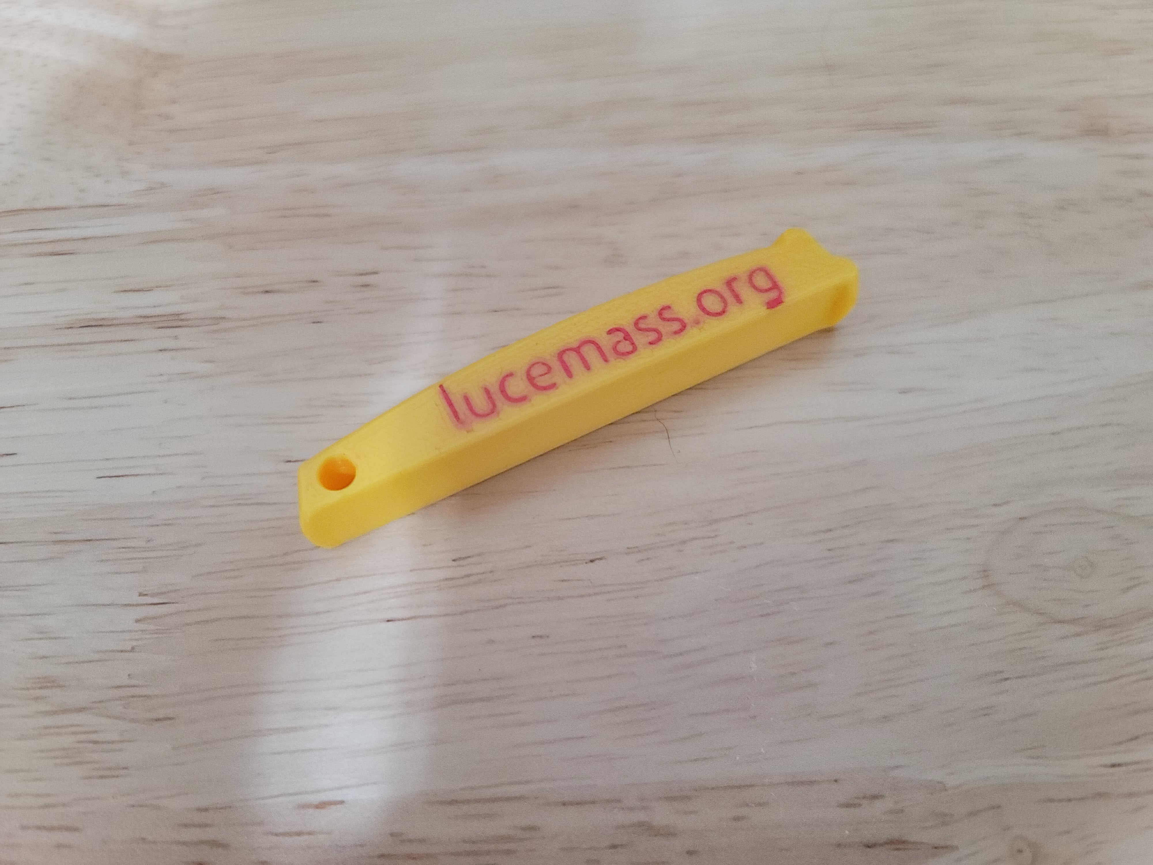 Whistle with LUCE MA contact info V2