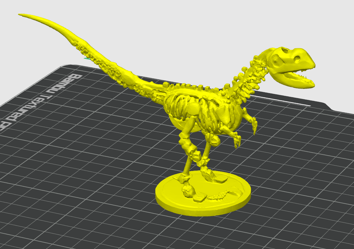 Dinosaur Skeleton Model – T-Rex Inspired Fossil Display