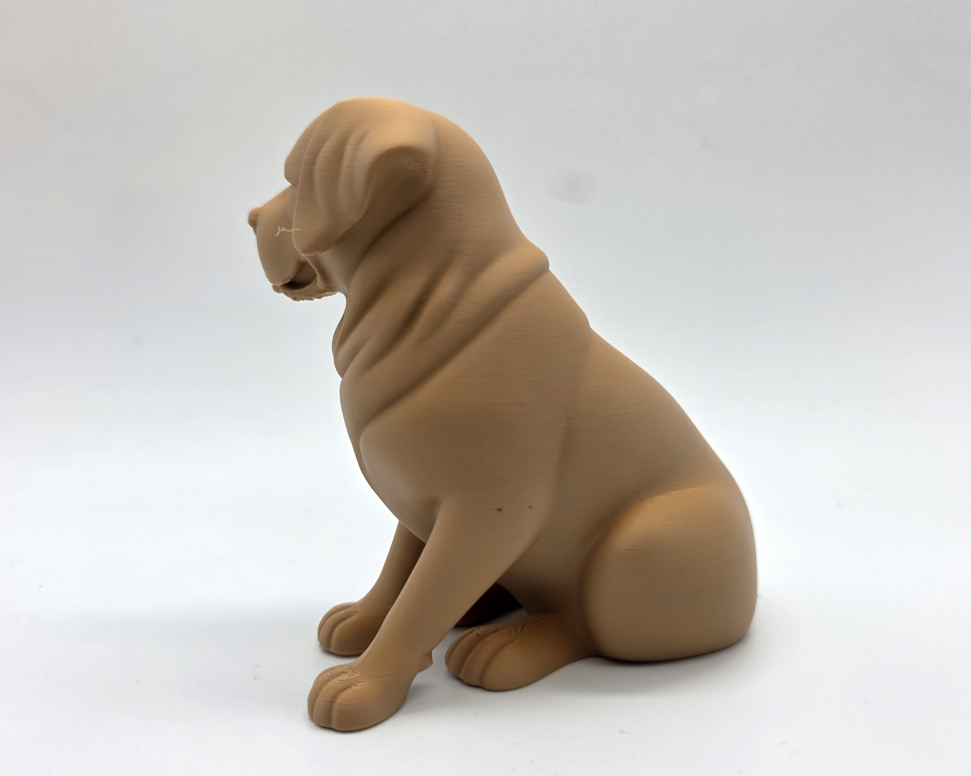 Seated Labrador Retriever Puppy — miniatura 2