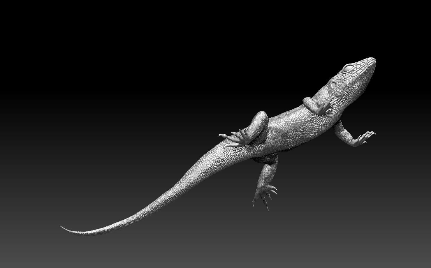 lizard — miniatura 3