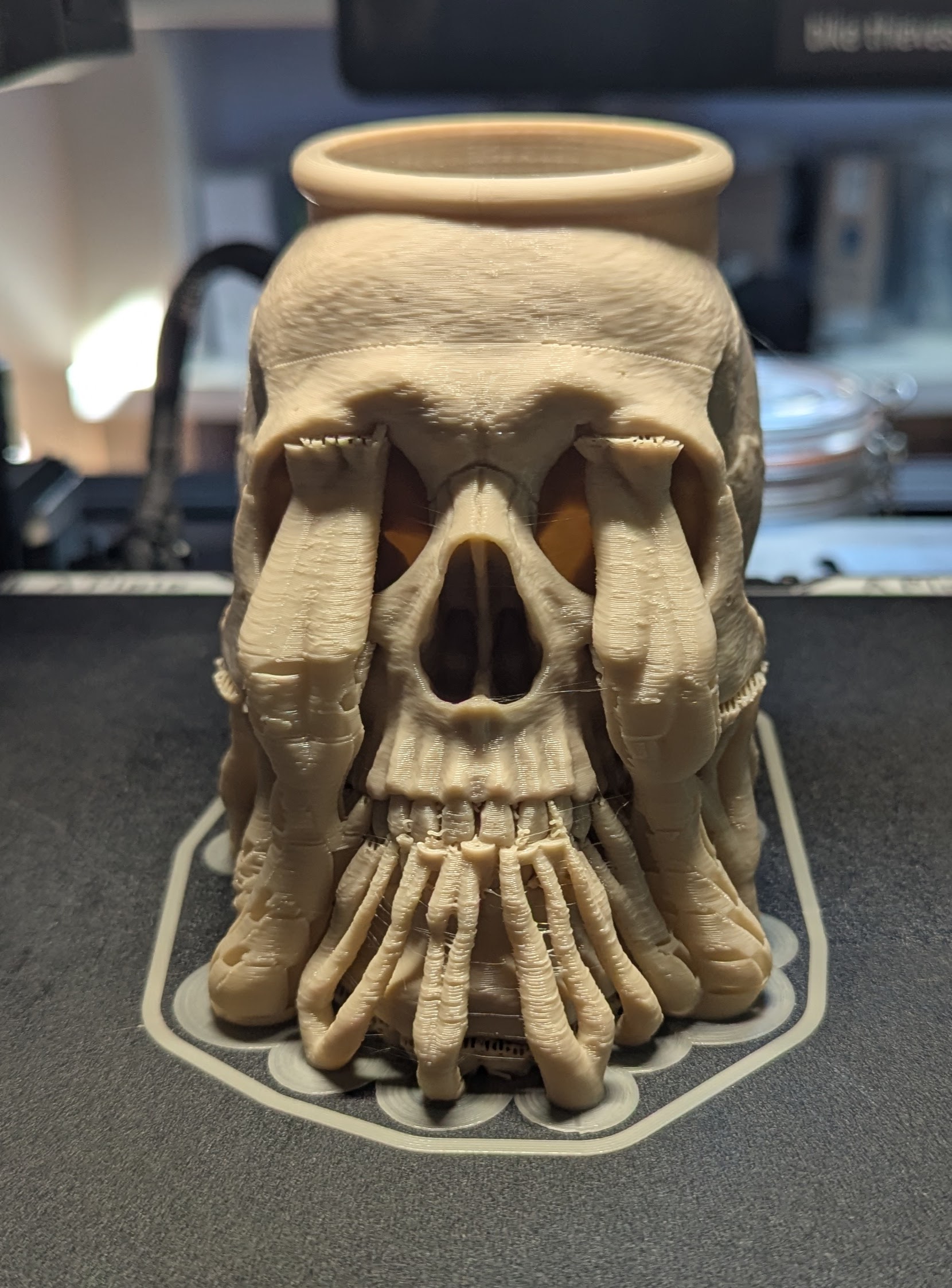 Skull Plant Pot or Pencil Holder HighDetail