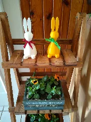 Easter bunny