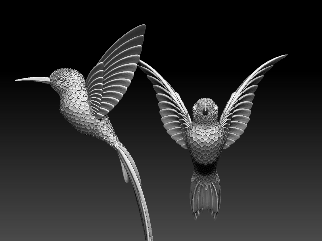 hummingbird — miniatura 2