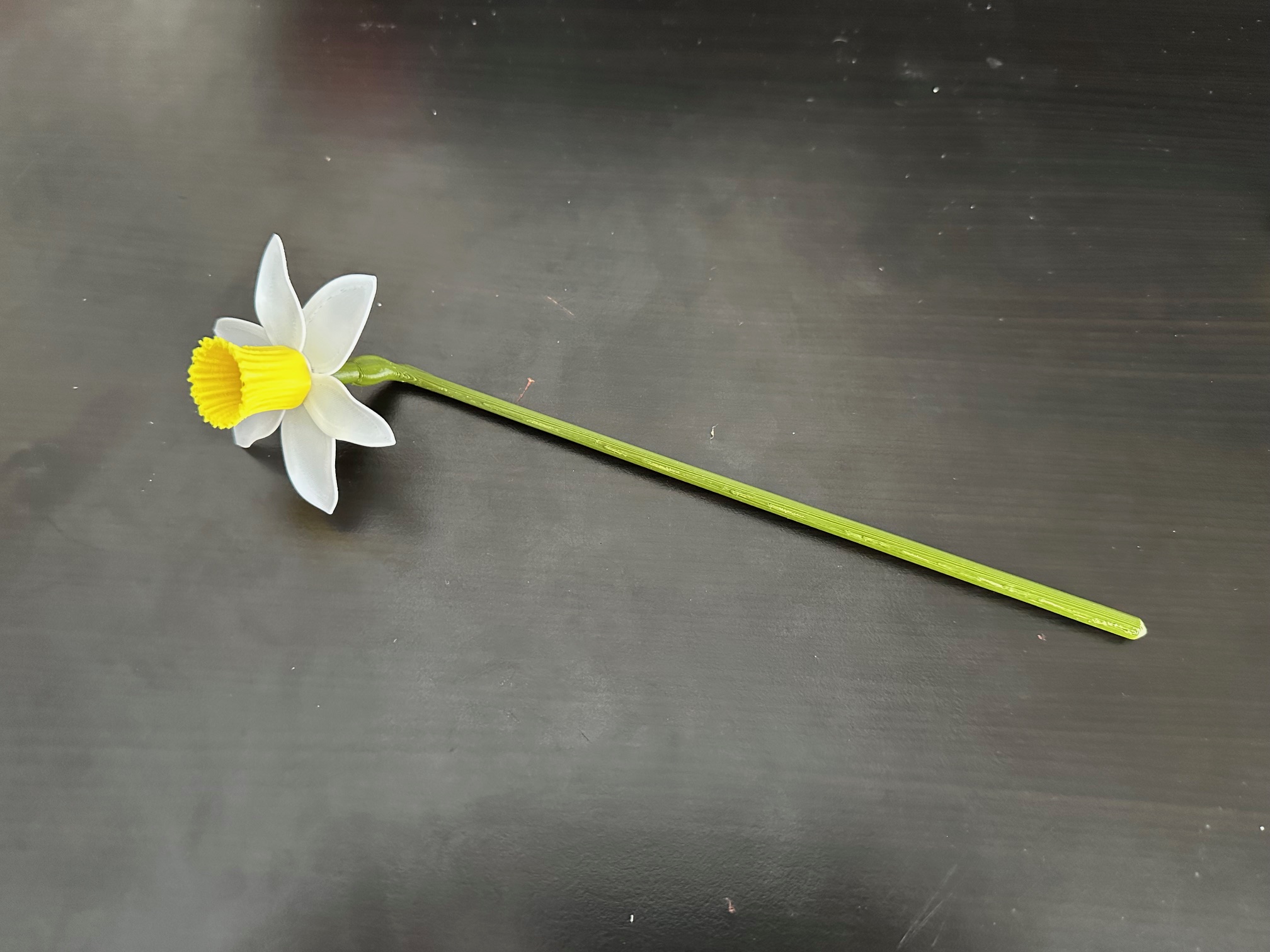 Miniatura 4 do modelo 3D Buildable Flower Daffodil