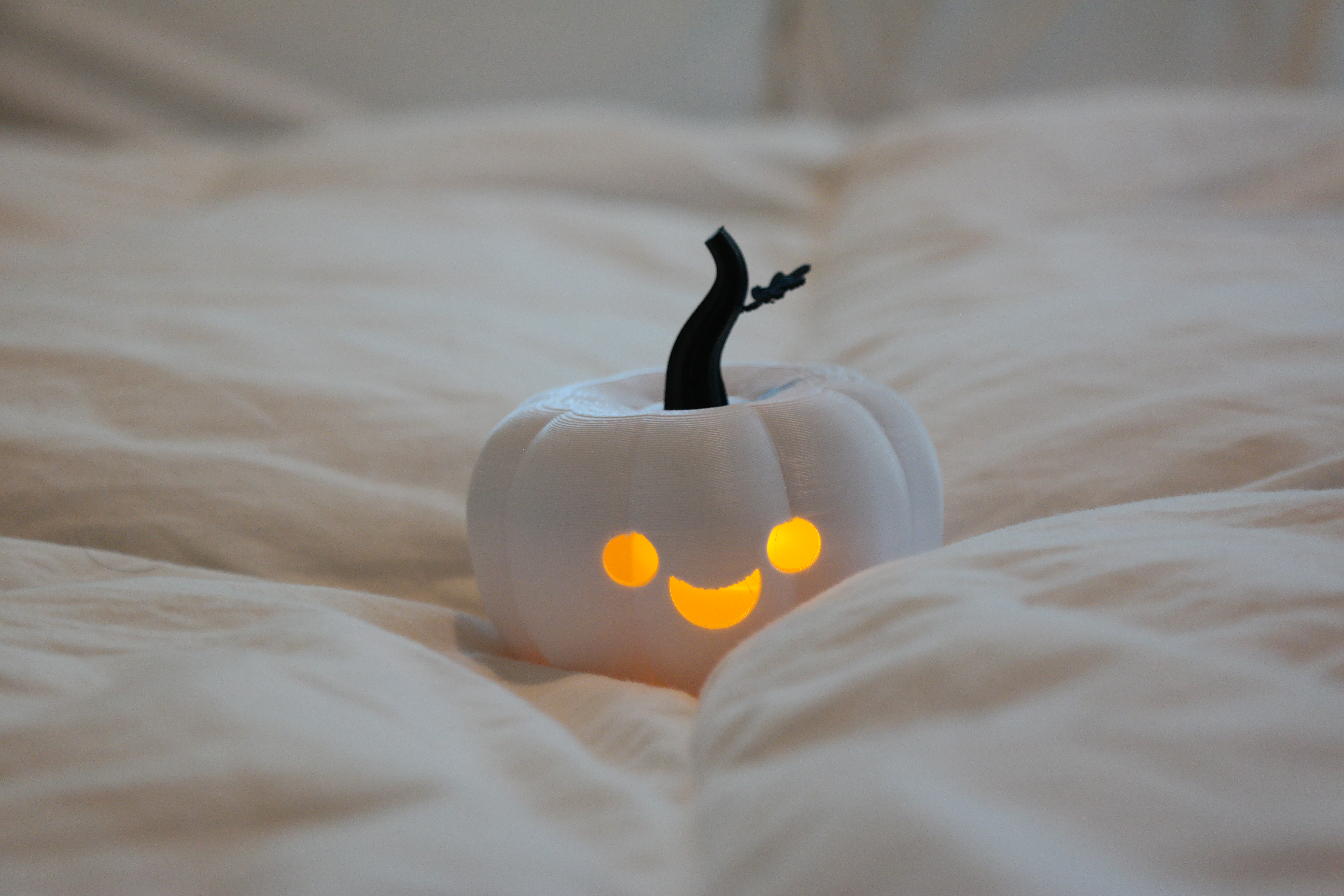 The Silliest Halloween Pumpkin / Jack O'Lantern