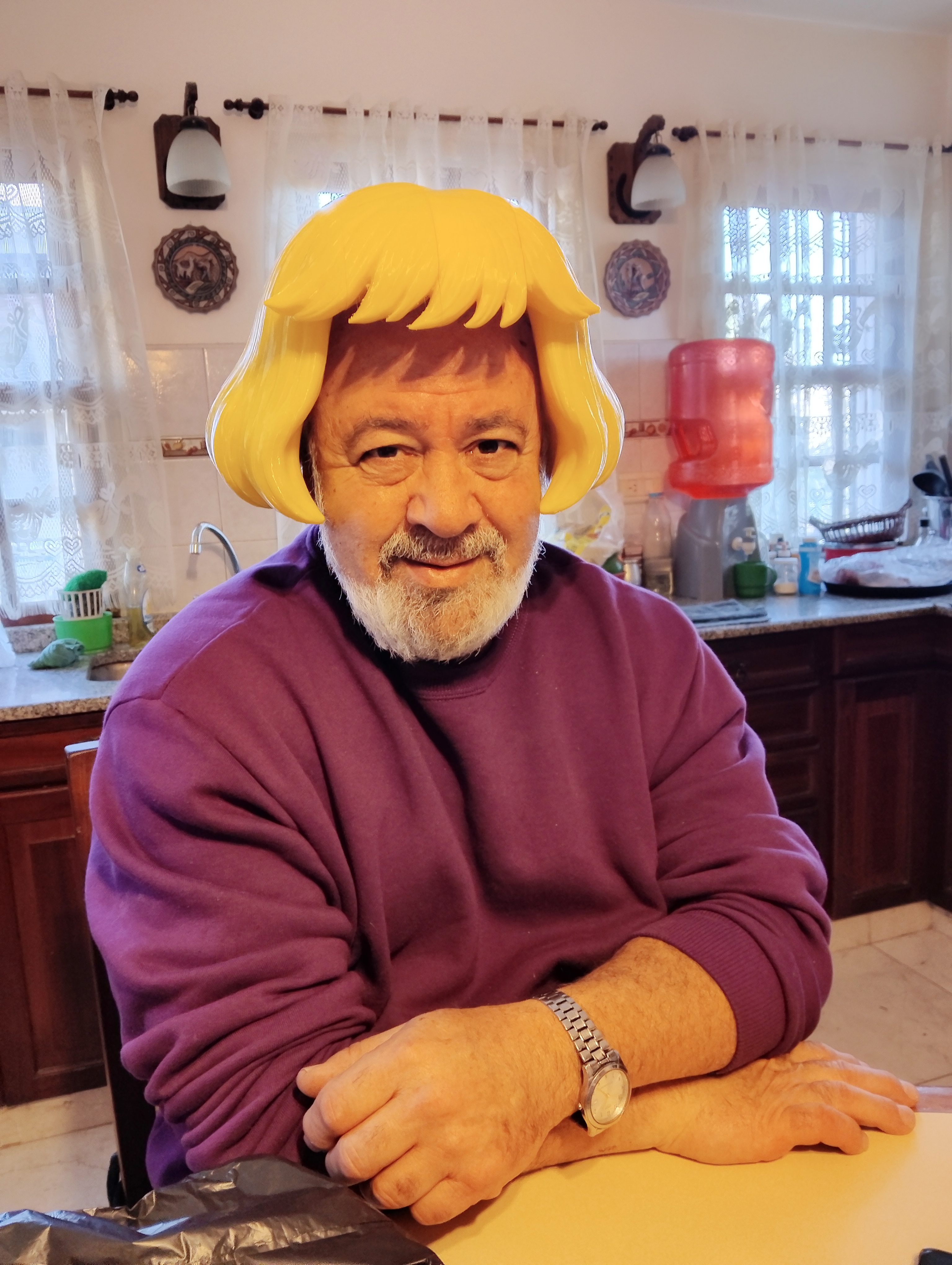 Peluca He-Man