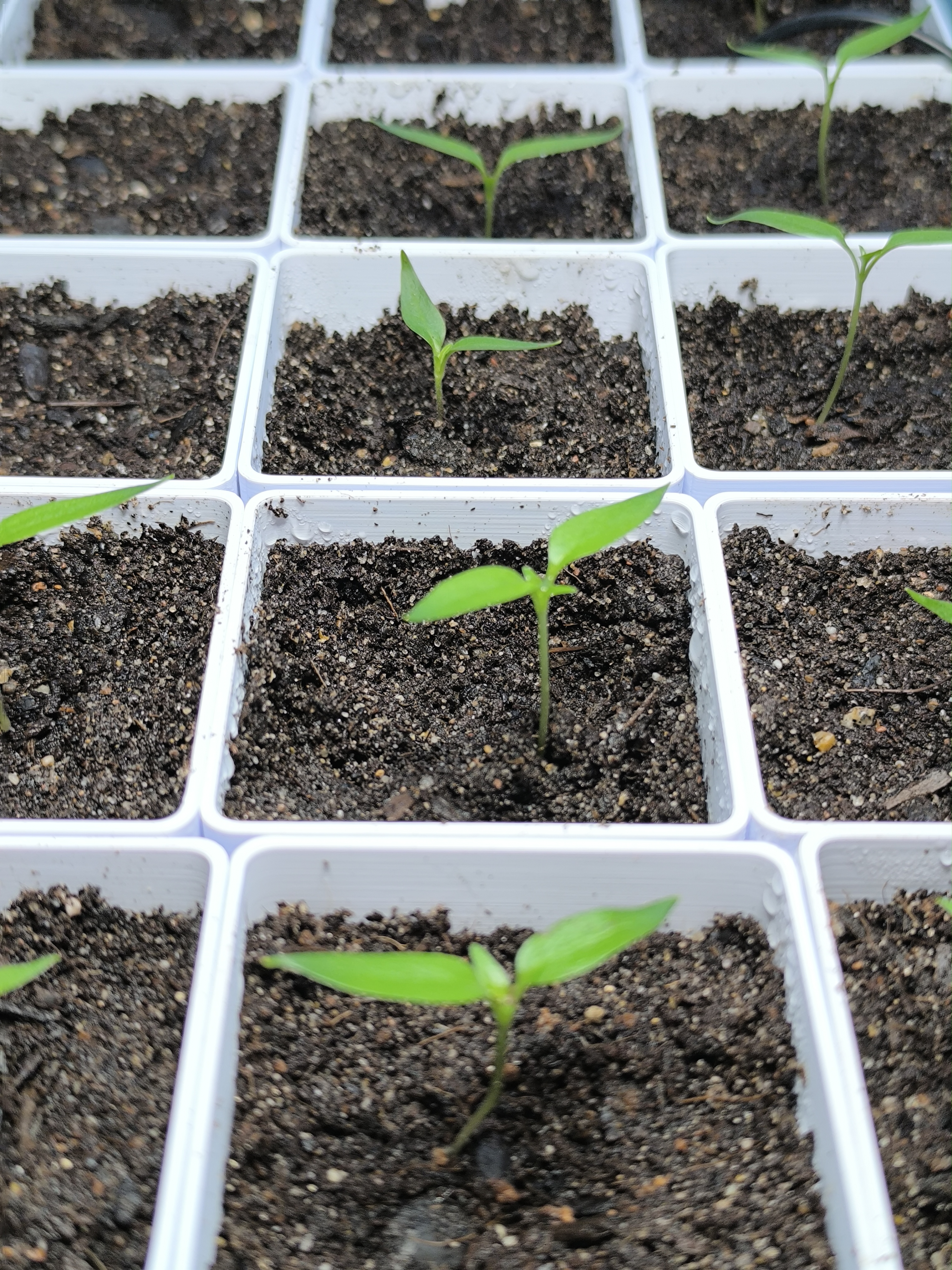 Modular Seed Starter — miniatura 3
